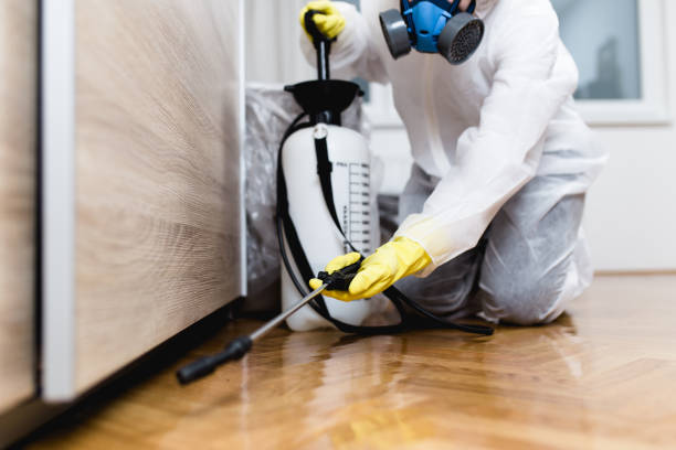 Best Pest Prevention Services  in Gore, OK