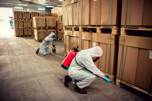 Pest Prevention Services in Gore, OK