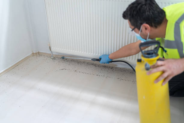 Best Affordable Pest Control Services  in Gore, OK